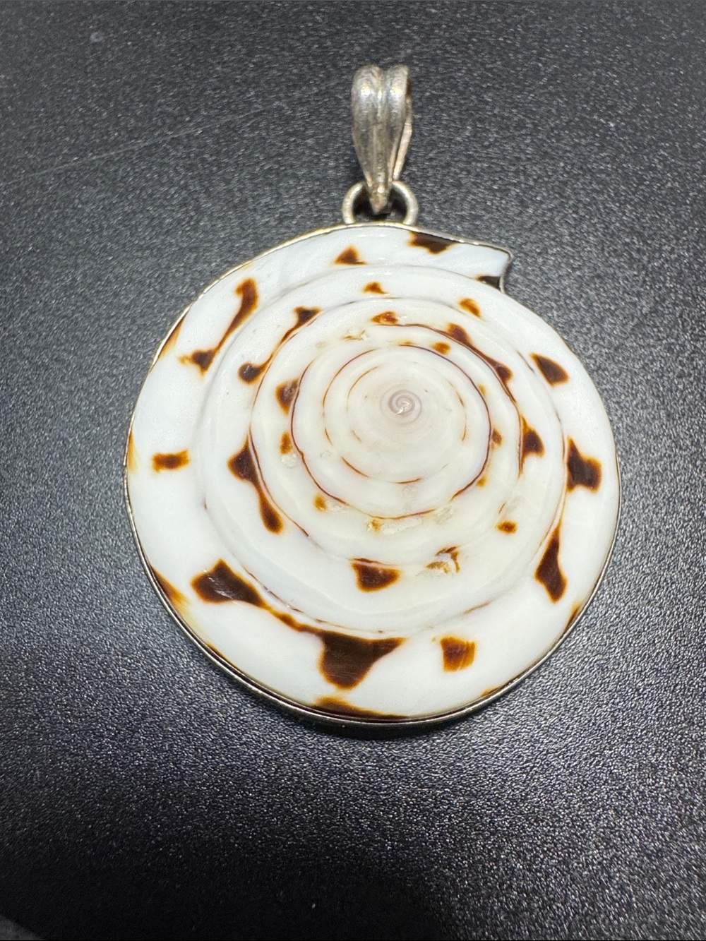 VTG Spotted White & Brown Spiral Shell Pendant Necklace - Women Jewelry